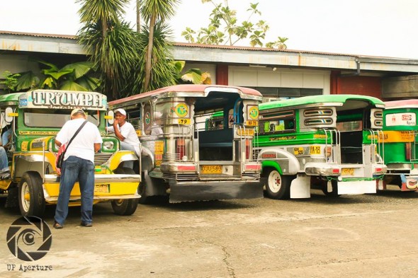 Drivers brought their jeepneys to the Community Affairs compound for reinspection on Monday. PHOTO BY Mariel Urbiztondo, UP Aperture